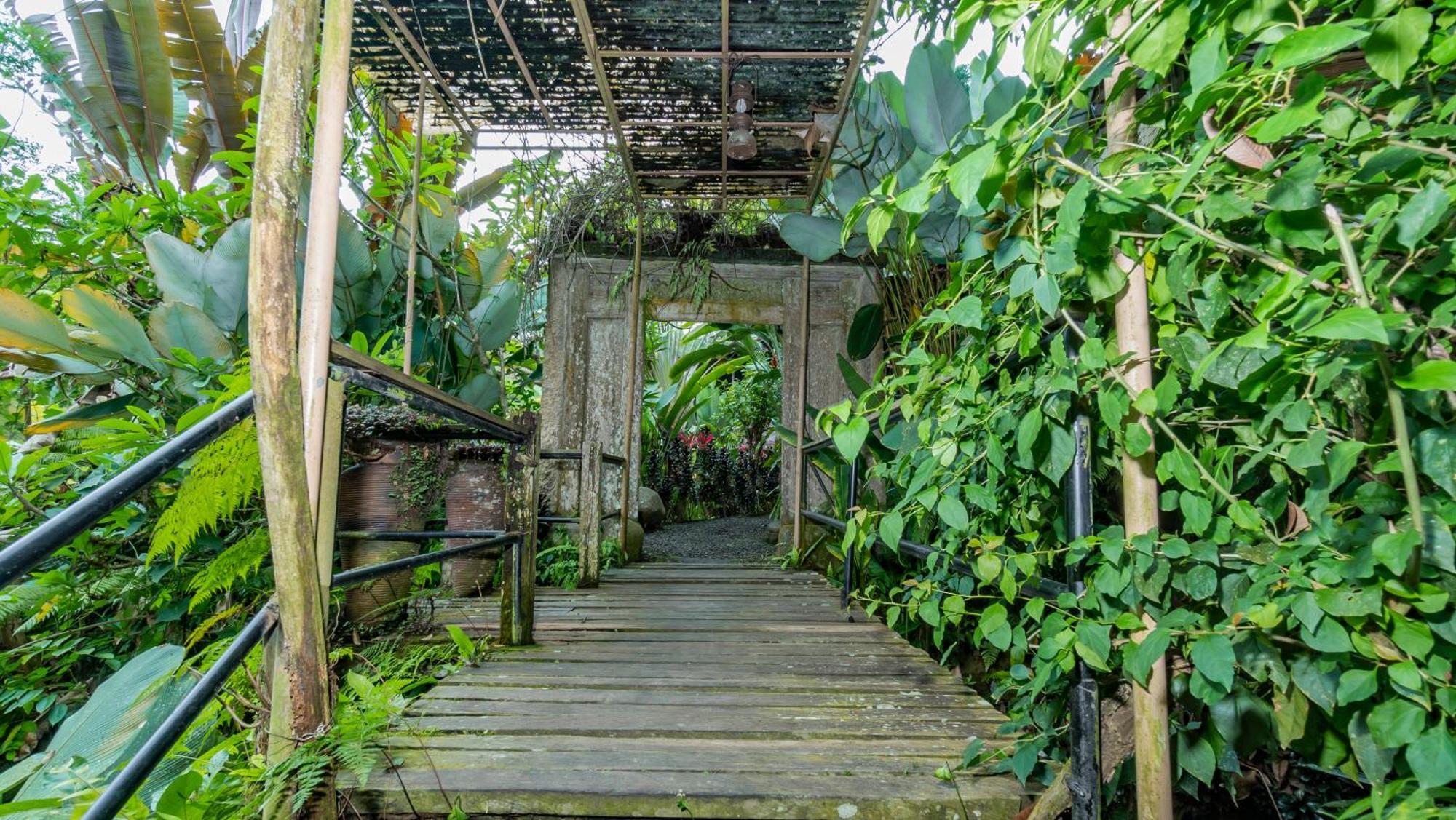 Umah Tis Sebatu Villa Tegallalang  Exterior foto